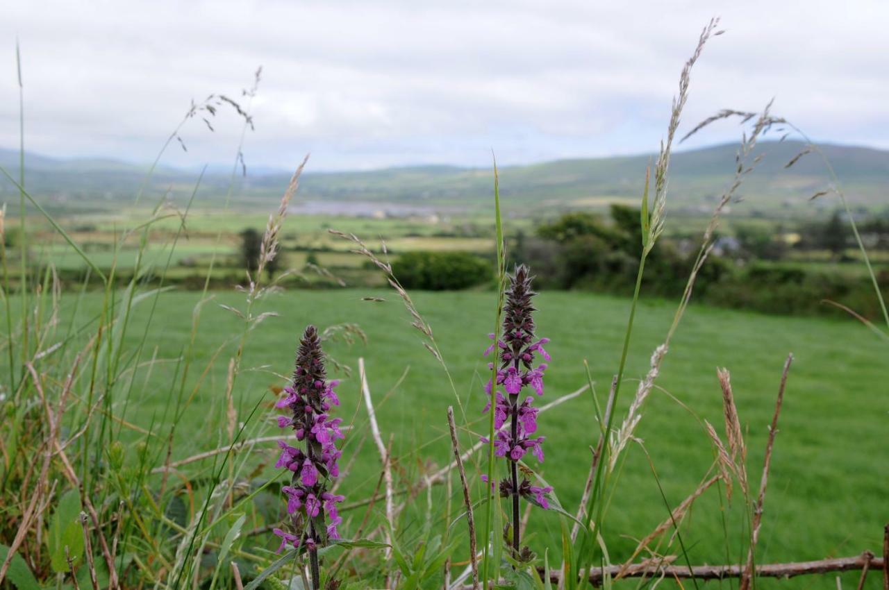 Short Strand Dingle Emlagh East ภายนอก รูปภาพ
